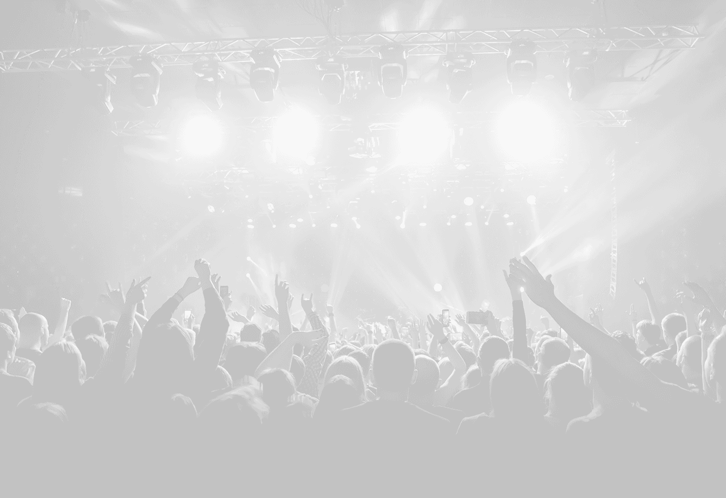 Festival Crowd